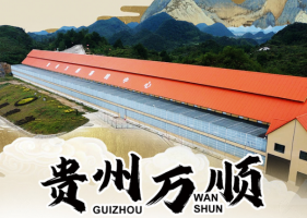 贵州万顺公棚：2025年秋赛40-60公里资格赛集鸽图集